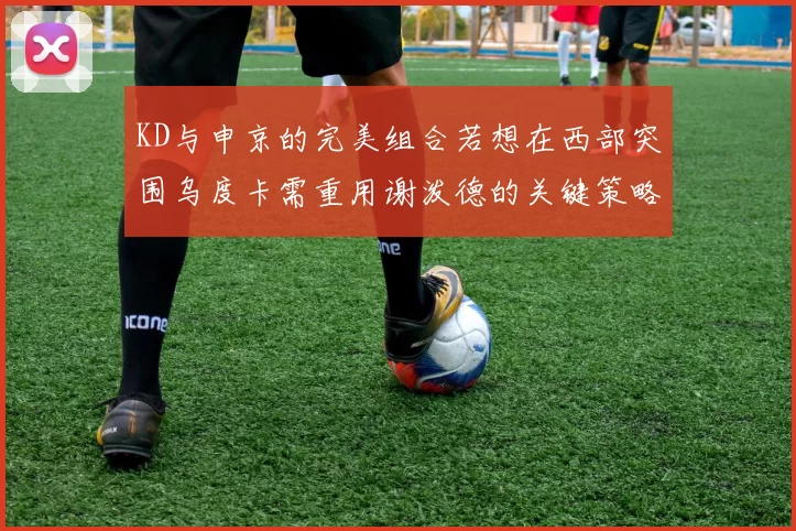 KD与申京的完美组合若想在西部突围乌度卡需重用谢泼德的关键策略